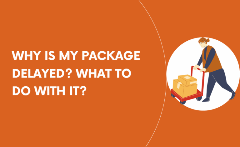 Why Is My Package Delayed? What to Do With It?