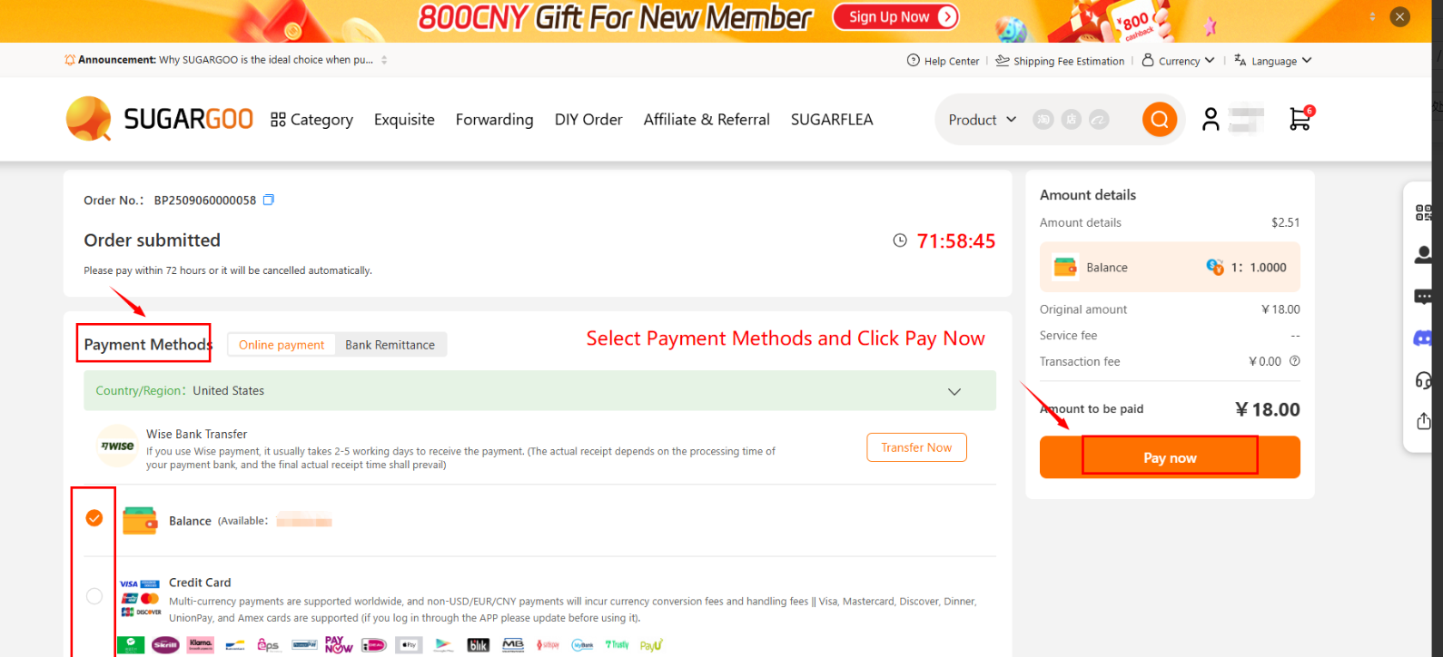 Sugargoo payment methods page showing balance and credit card with “Pay Now” button.